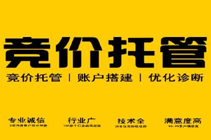 SEO技术突破：某网站流量暴增的背后故事